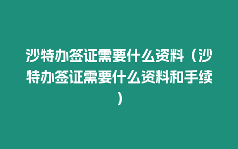 沙特辦簽證需要什么資料（沙特辦簽證需要什么資料和手續）