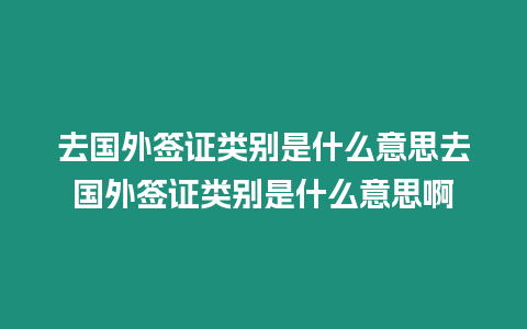 去國外簽證類別是什么意思去國外簽證類別是什么意思啊