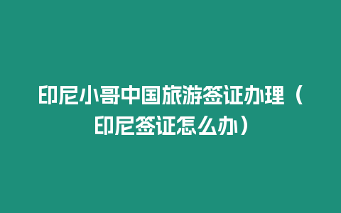 印尼小哥中國旅游簽證辦理（印尼簽證怎么辦）