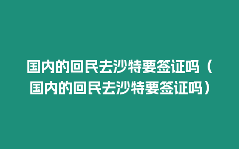 國內的回民去沙特要簽證嗎（國內的回民去沙特要簽證嗎）