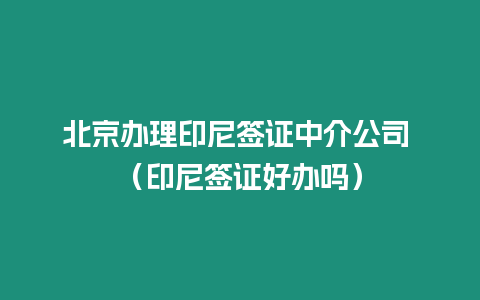 北京辦理印尼簽證中介公司 （印尼簽證好辦嗎）