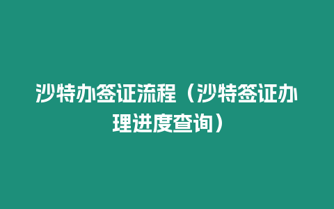 沙特辦簽證流程（沙特簽證辦理進度查詢）