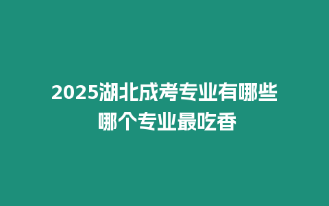 2025湖北成考專業有哪些 哪個專業最吃香