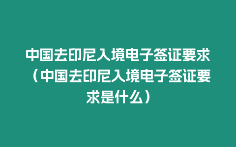 中國去印尼入境電子簽證要求（中國去印尼入境電子簽證要求是什么）