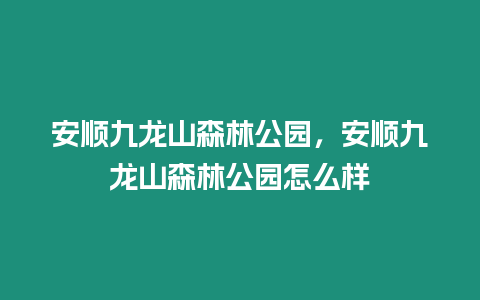 安順九龍山森林公園，安順九龍山森林公園怎么樣