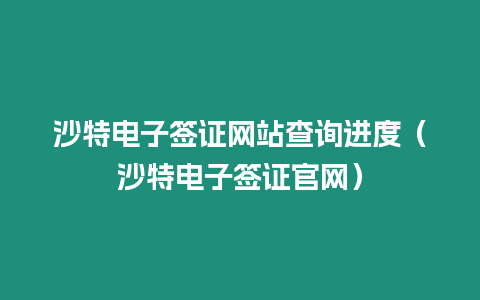 沙特電子簽證網站查詢進度（沙特電子簽證官網）