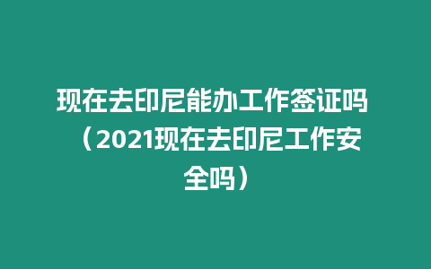 現在去印尼能辦工作簽證嗎 （2021現在去印尼工作安全嗎）