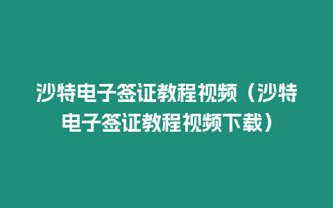 沙特電子簽證教程視頻（沙特電子簽證教程視頻下載）