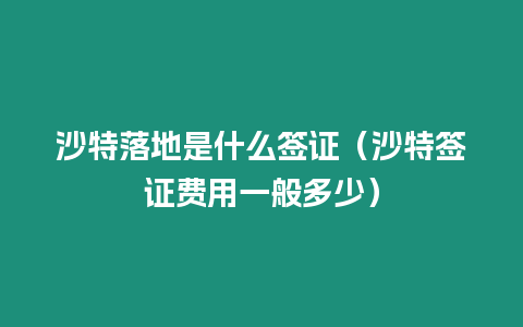 沙特落地是什么簽證（沙特簽證費用一般多少）