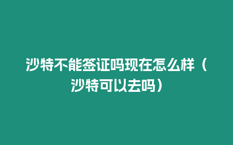 沙特不能簽證嗎現在怎么樣（沙特可以去嗎）