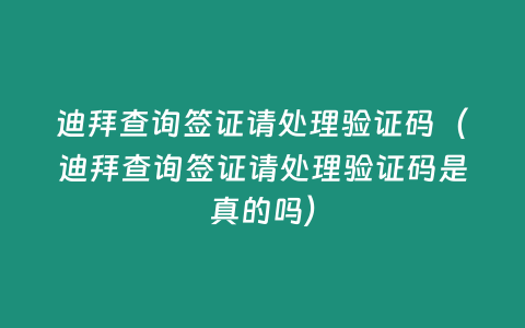 迪拜查詢簽證請處理驗證碼（迪拜查詢簽證請處理驗證碼是真的嗎）