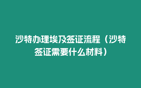 沙特辦理埃及簽證流程（沙特簽證需要什么材料）