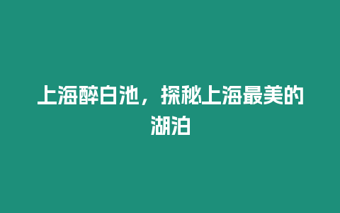 上海醉白池，探秘上海最美的湖泊