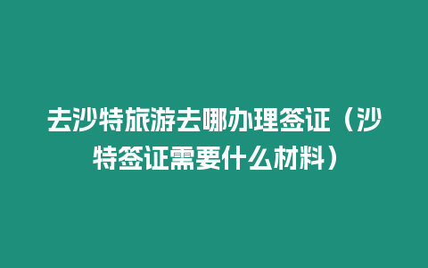 去沙特旅游去哪辦理簽證（沙特簽證需要什么材料）