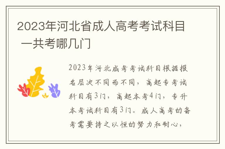 2025年河北省成人高考考試科目 一共考哪幾門