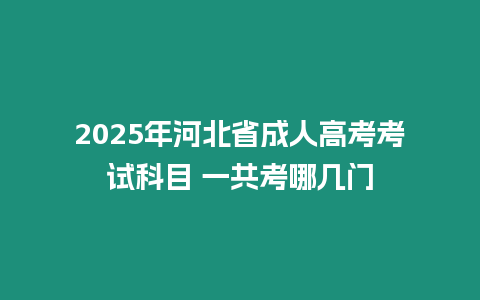 2025年河北省成人高考考試科目 一共考哪幾門