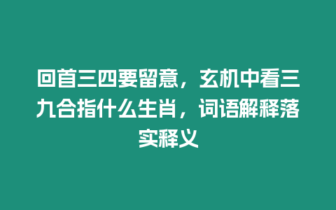 回首三四要留意，玄機(jī)中看三九合指什么生肖，詞語解釋落實(shí)釋義