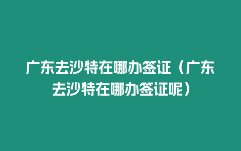 廣東去沙特在哪辦簽證（廣東去沙特在哪辦簽證呢）