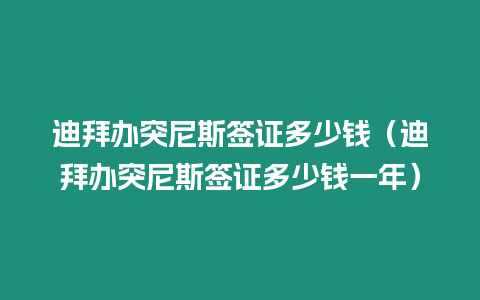 迪拜辦突尼斯簽證多少錢（迪拜辦突尼斯簽證多少錢一年）