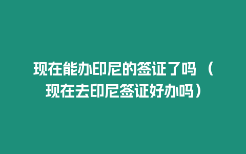 現(xiàn)在能辦印尼的簽證了嗎 （現(xiàn)在去印尼簽證好辦嗎）