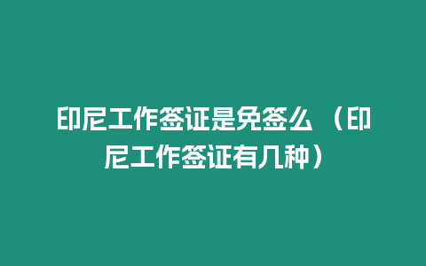 印尼工作簽證是免簽么 （印尼工作簽證有幾種）