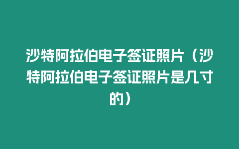 沙特阿拉伯電子簽證照片（沙特阿拉伯電子簽證照片是幾寸的）