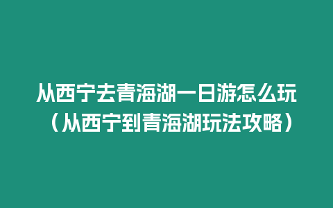 從西寧去青海湖一日游怎么玩（從西寧到青海湖玩法攻略）