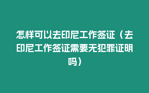 怎樣可以去印尼工作簽證（去印尼工作簽證需要無犯罪證明嗎）