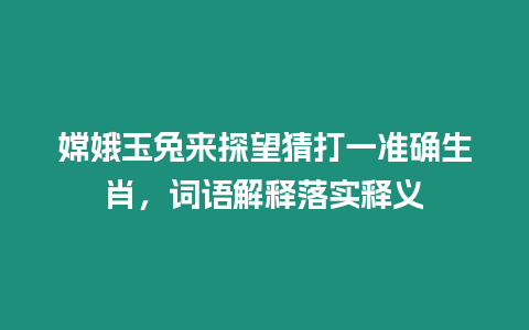 嫦娥玉兔來探望猜打一準(zhǔn)確生肖，詞語解釋落實釋義