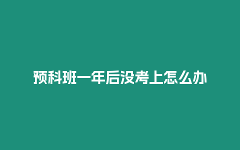 預(yù)科班一年后沒考上怎么辦