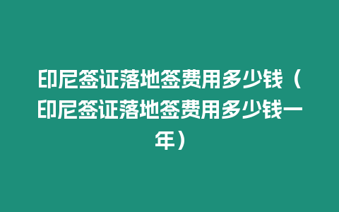 印尼簽證落地簽費用多少錢（印尼簽證落地簽費用多少錢一年）