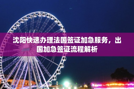 沈陽快速辦理法國簽證加急服務，出國加急簽證流程解析