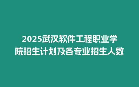 2025武漢軟件工程職業(yè)學(xué)院招生計劃及各專業(yè)招生人數(shù)