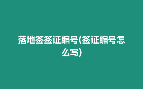 落地簽簽證編號(簽證編號怎么寫)