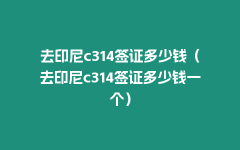 去印尼c314簽證多少錢（去印尼c314簽證多少錢一個）