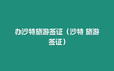 辦沙特旅游簽證（沙特 旅游簽證）