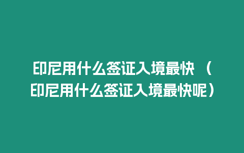 印尼用什么簽證入境最快 （印尼用什么簽證入境最快呢）