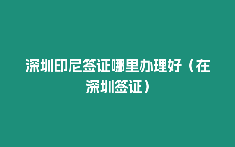 深圳印尼簽證哪里辦理好（在深圳簽證）