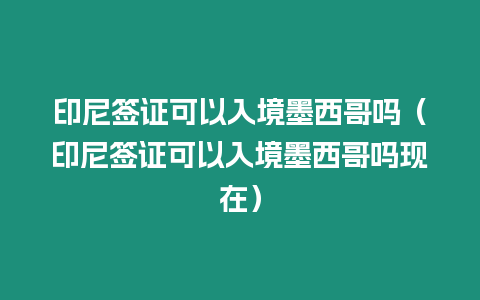 印尼簽證可以入境墨西哥嗎（印尼簽證可以入境墨西哥嗎現在）