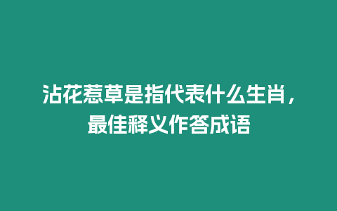 沾花惹草是指代表什么生肖，最佳釋義作答成語