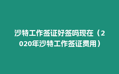 沙特工作簽證好簽嗎現在（2020年沙特工作簽證費用）