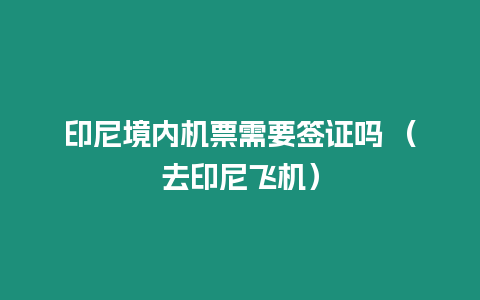 印尼境內機票需要簽證嗎 （去印尼飛機）