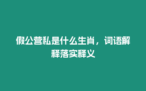 假公營私是什么生肖，詞語解釋落實釋義