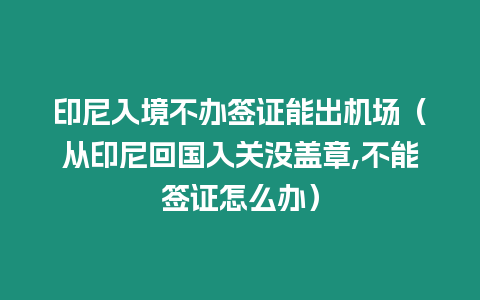 印尼入境不辦簽證能出機場（從印尼回國入關沒蓋章,不能簽證怎么辦）