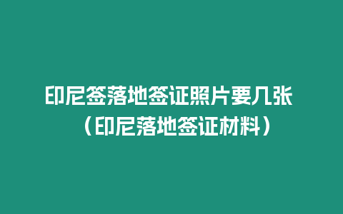 印尼簽落地簽證照片要幾張 （印尼落地簽證材料）