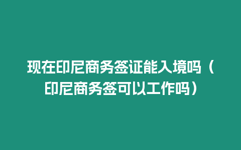 現(xiàn)在印尼商務(wù)簽證能入境嗎（印尼商務(wù)簽可以工作嗎）