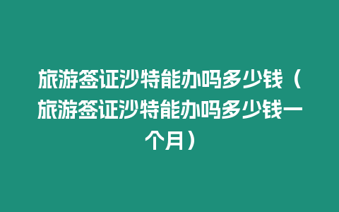 旅游簽證沙特能辦嗎多少錢（旅游簽證沙特能辦嗎多少錢一個月）