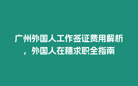 廣州外國人工作簽證費用解析，外國人在穗求職全指南