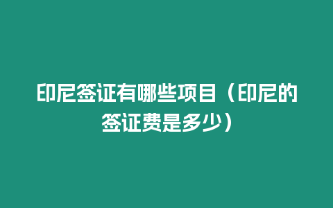 印尼簽證有哪些項(xiàng)目（印尼的簽證費(fèi)是多少）