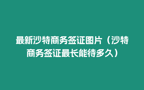 最新沙特商務簽證圖片（沙特商務簽證最長能待多久）